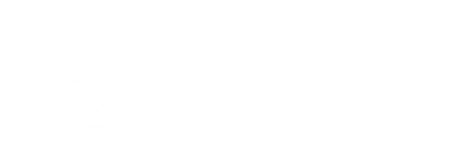 E-TONTINE